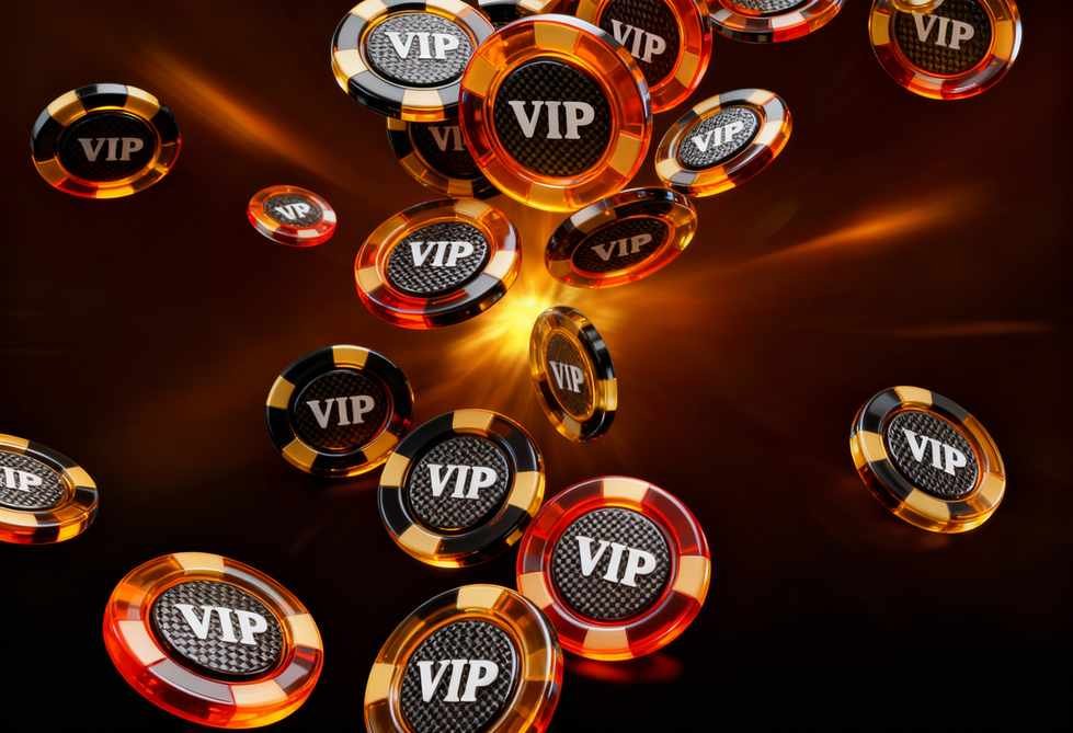 paradise8casino-nz.com paradise8casino-nz.com